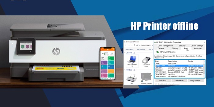 How to FiHP Printer Offline Error